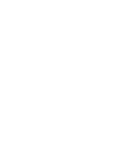 zamek stara kamienica